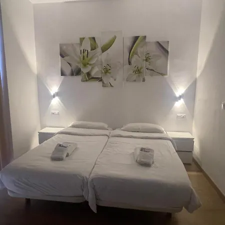 Boni Alicante